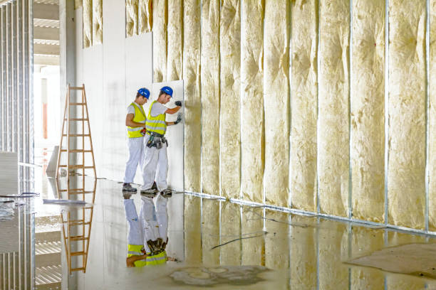 Best Commercial Insulation in Summit View, WA